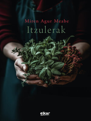cover image of Itzulerak